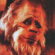Illustration for article titled Sasquatch Sighting: Reality TV Development Deal for Canadian City?